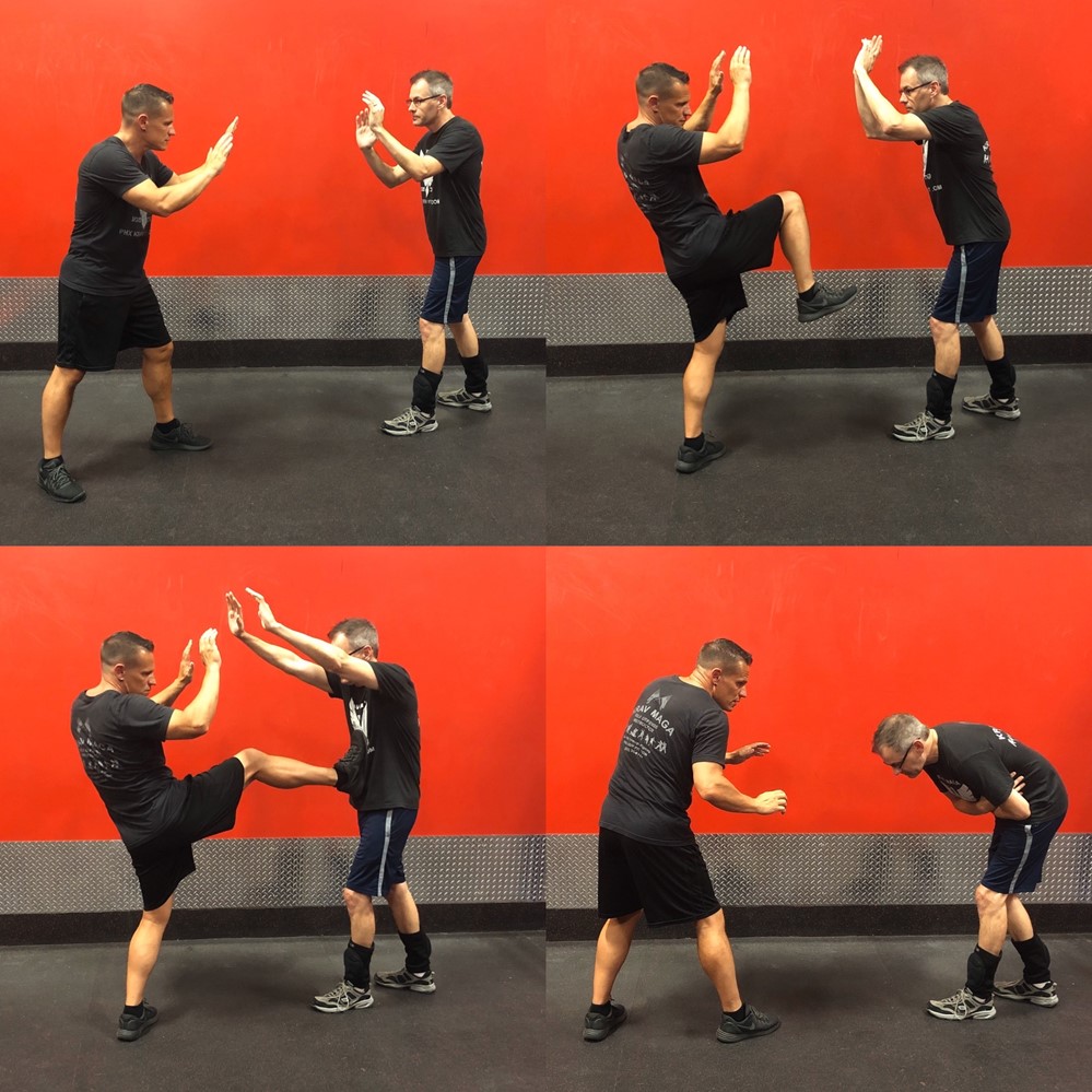 basic stance of the self defense kick